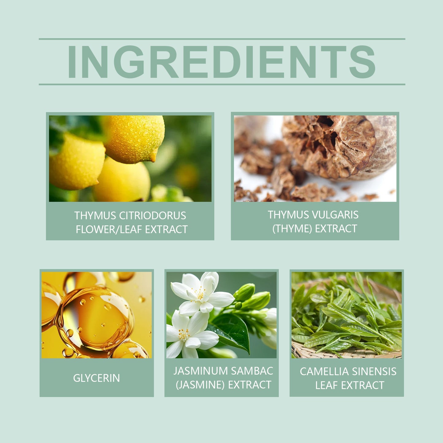 Clear Fragrance Type Solid Balm