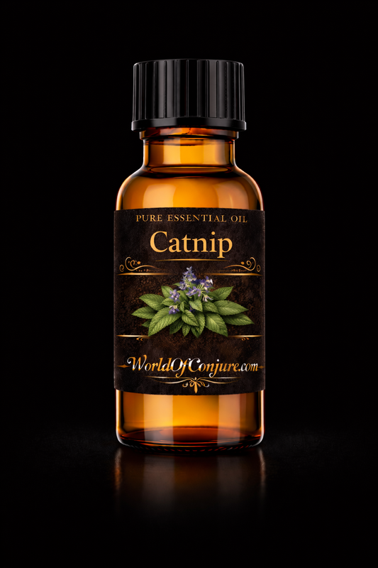 Catnip Essential Oil
